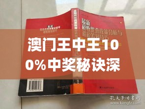 澳门王中王最新章节的无偿释义与落实解释