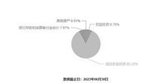 澳门未来展望，聚焦2025新澳门资料最准与知名释义的落实